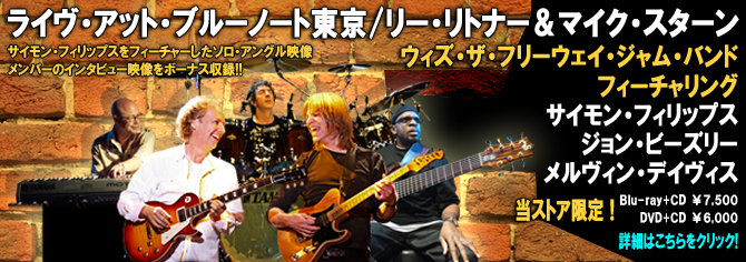 Lee Ritenour & Mike Stern
