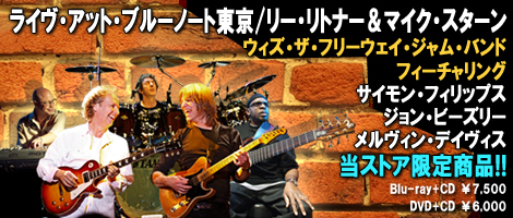 Lee Ritenour & Mike Stern