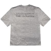 HIRO 1st Solo Live 『Gale』～the Beginning～ GaleロゴTシャツ(グレー)