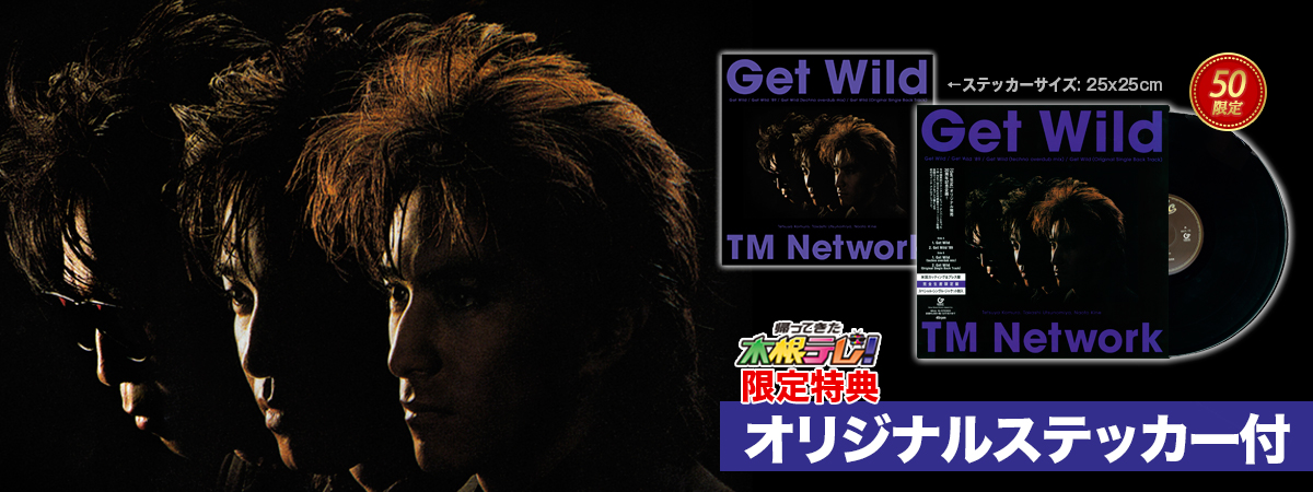 TM NETWORK GETWILD レコード-bbmancha.org