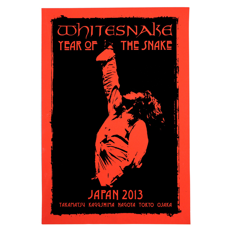 Tour Poster (2013 Japan Tour)