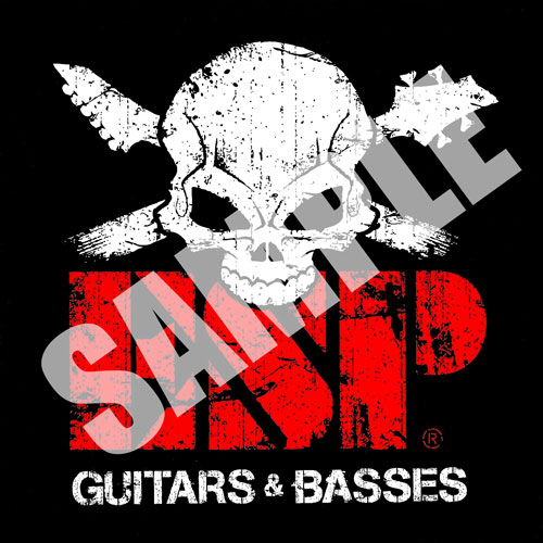 ROCKZINE_VOL1_ESPSTICKER.jpg