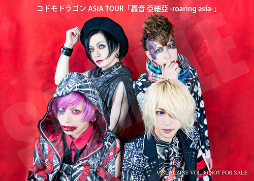 VISUALZINE 視覺樂窟 Vol.30 (MUCC / NIGHTMARE)