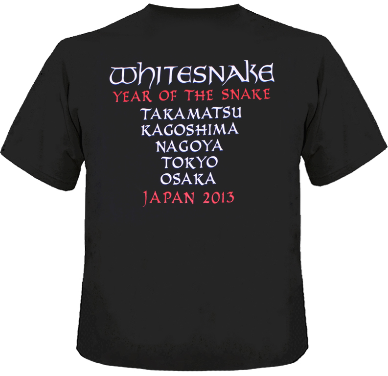 2013ジャパン・ツアー・グッズ “DCシルエット”
