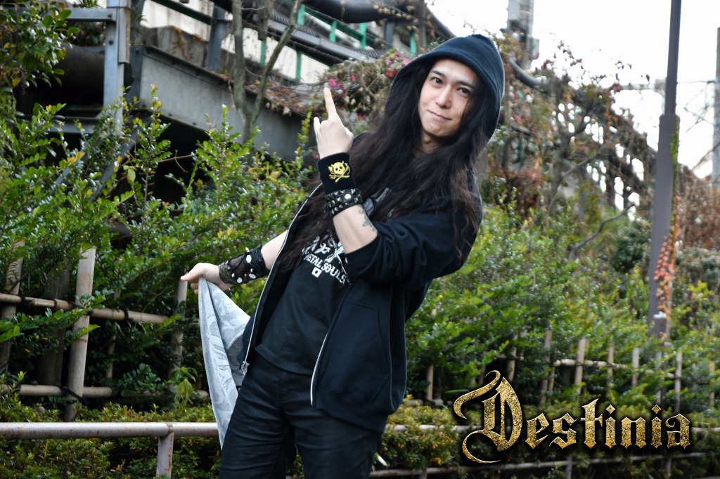 destinia