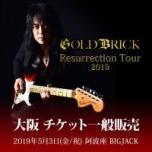Resurrection Tour 2019 チケット