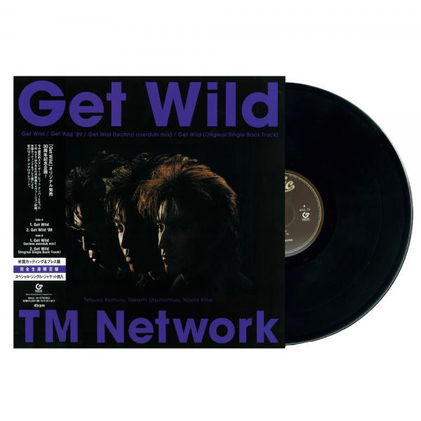 人気絶頂 TM NETWORK Get Wild LP レコード 邦楽