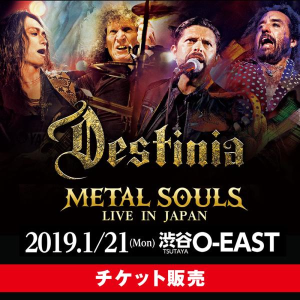 METAL SOULS LIVE IN JAPAN【チケット】
